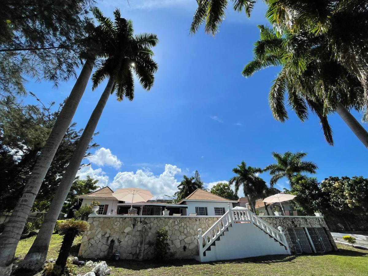 The Lodge @ Peaceful Palms Montego Bay Zewnętrze zdjęcie