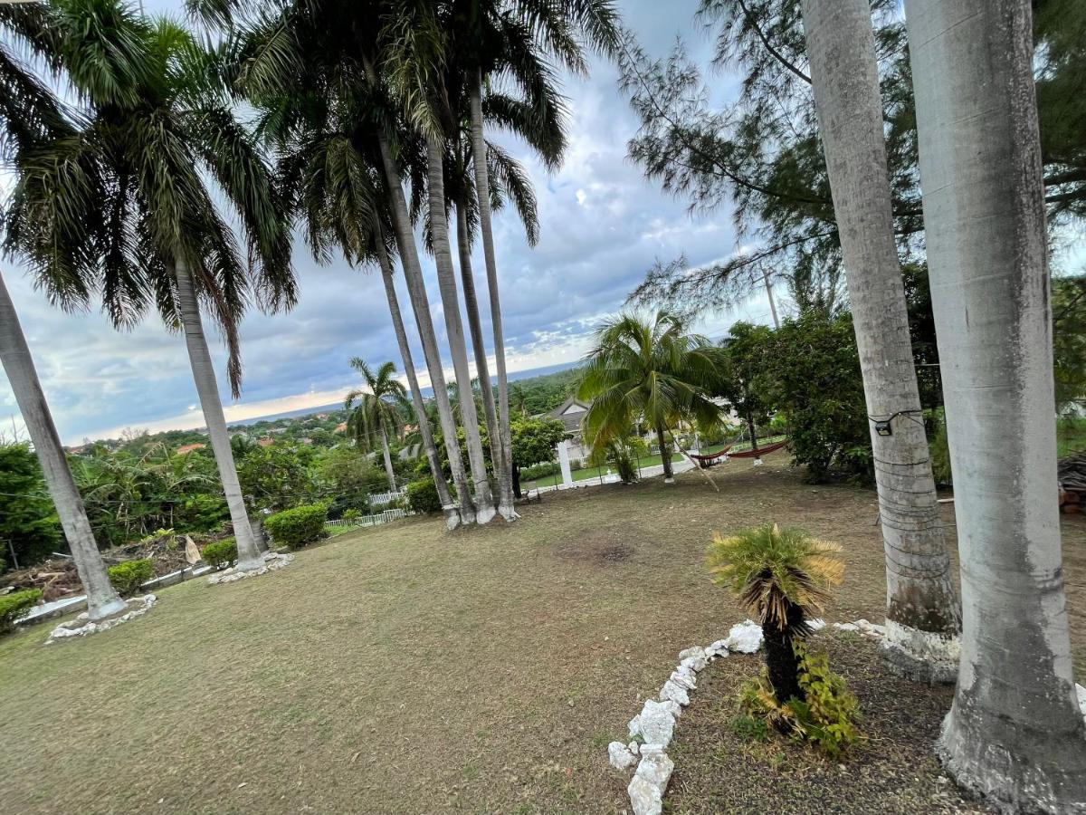 The Lodge @ Peaceful Palms Montego Bay Zewnętrze zdjęcie