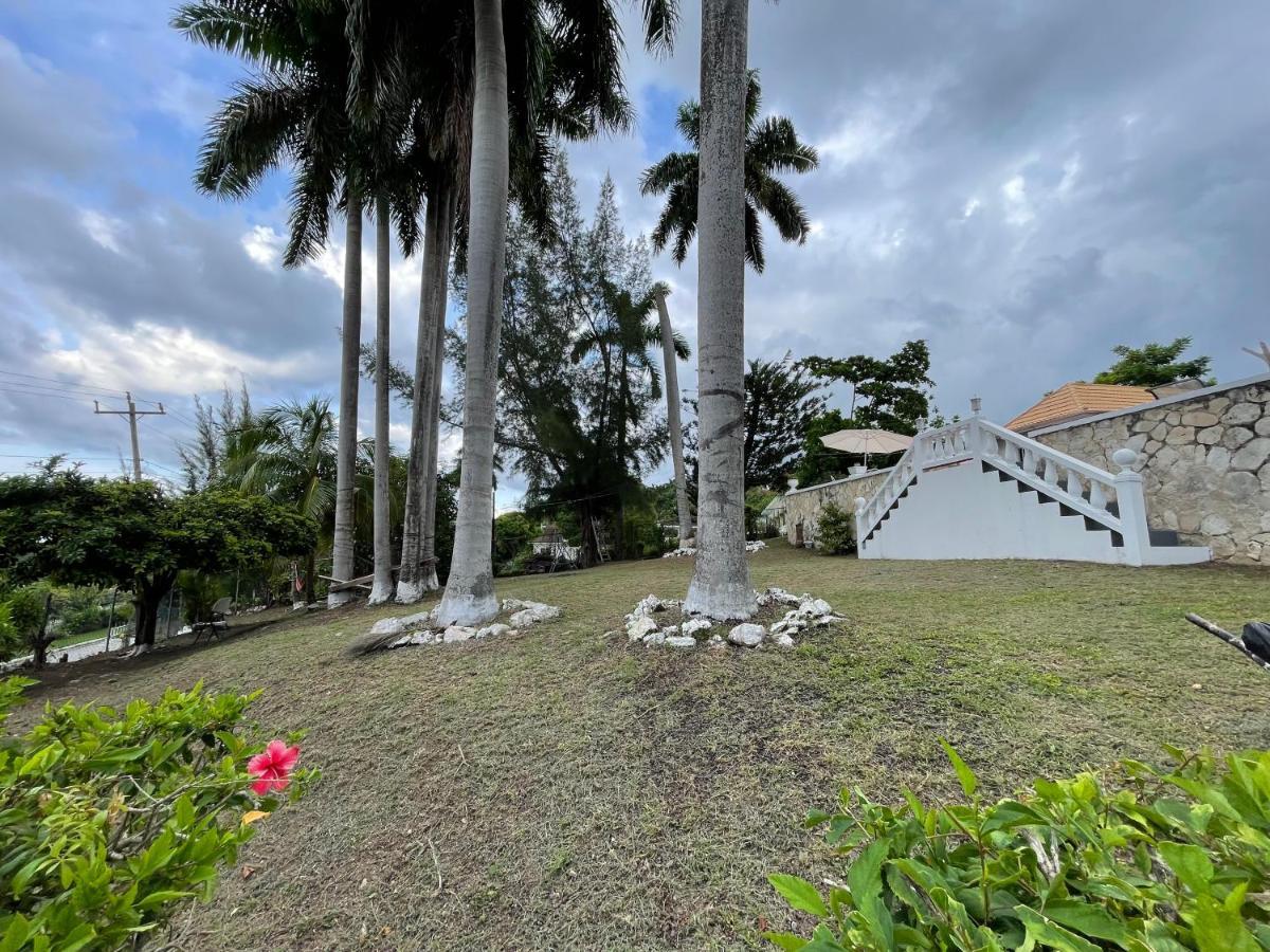 The Lodge @ Peaceful Palms Montego Bay Zewnętrze zdjęcie